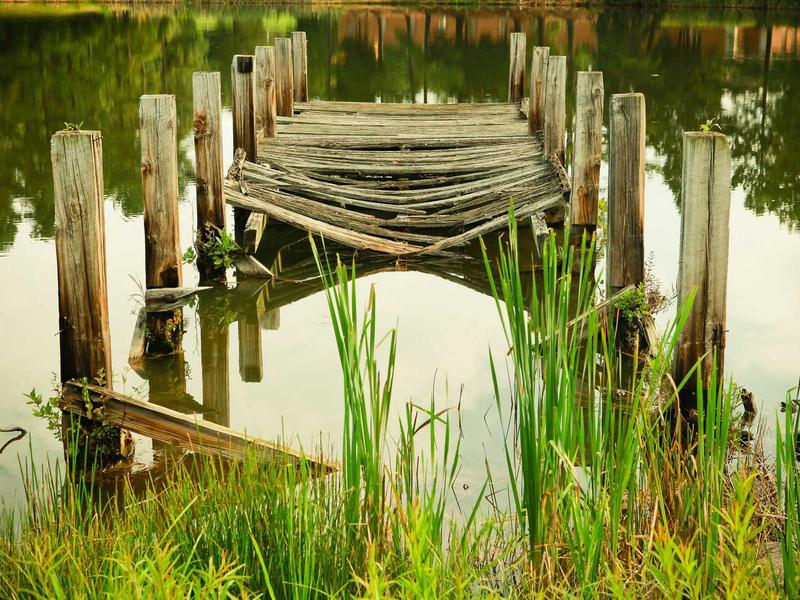 sudoku forcing chains screenshot 5